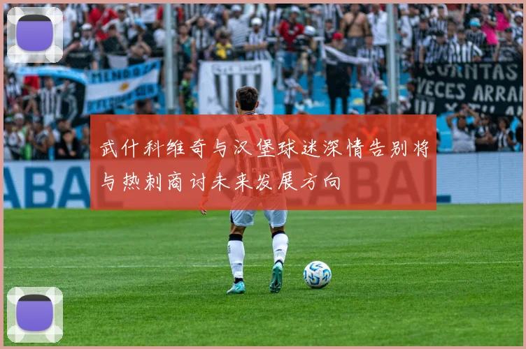 武什科维奇与汉堡球迷深情告别将与热刺商讨未来发展方向